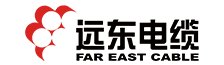 远东股份高级合伙人